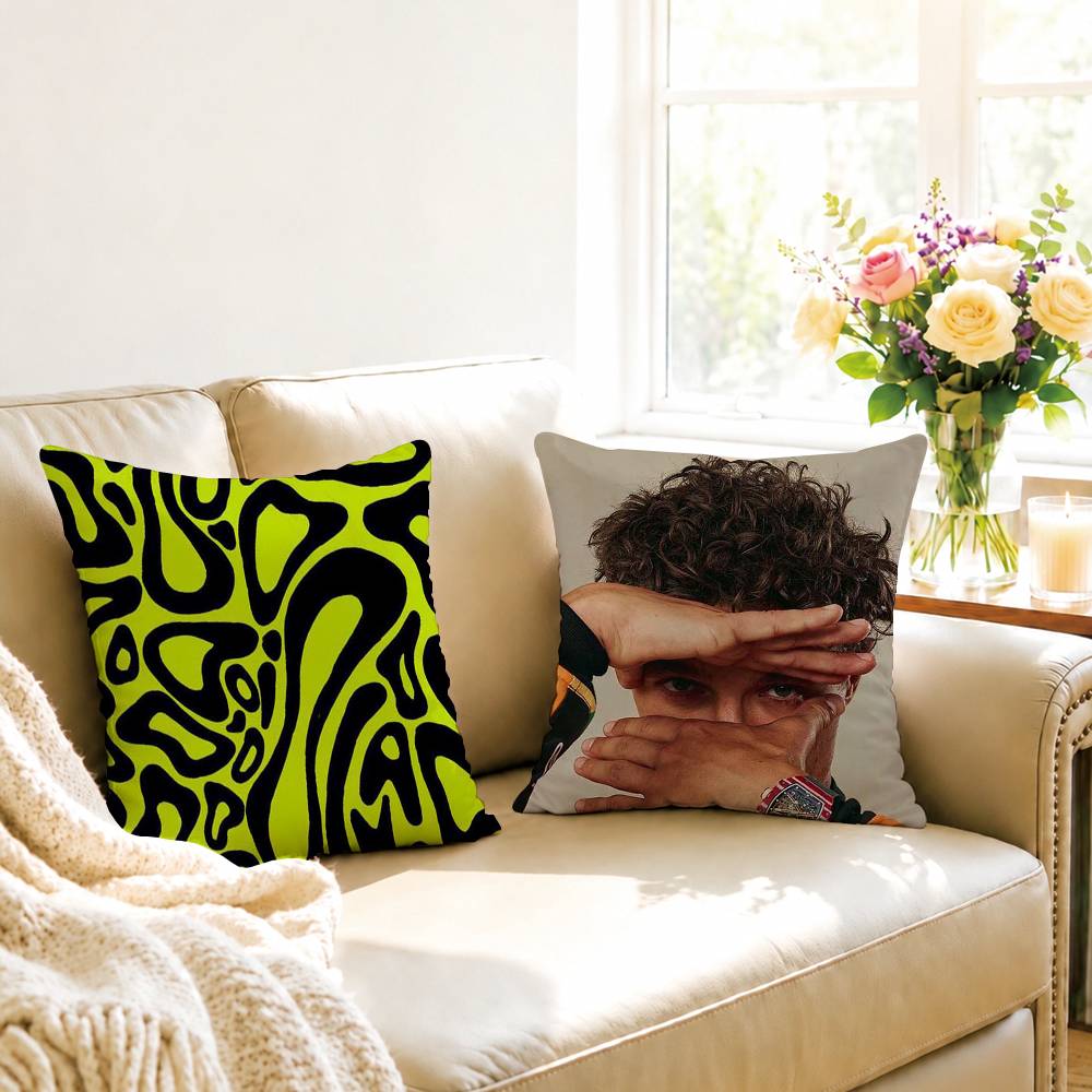 Ace Driver Lando Norris, quadr – Home.Textiles Cushion Bewertung und Preis